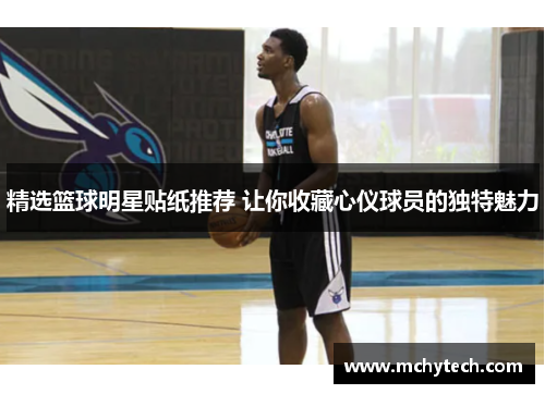 精选篮球明星贴纸推荐 让你收藏心仪球员的独特魅力