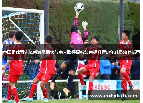 中国足球青训体系发展现状与未来路径探析如何提升青少年球员培养质量